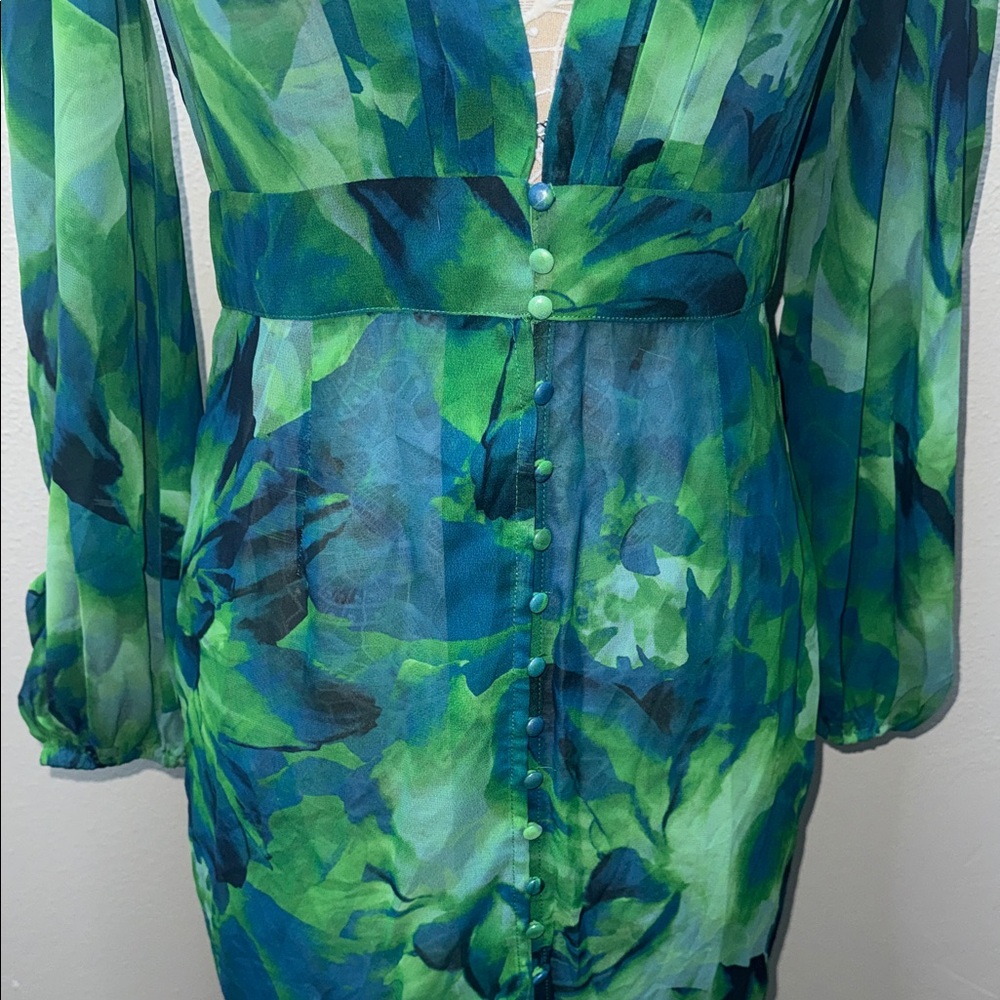 Elegant Long Sleeve Floral Dress in Green and Blue - Picture 3 of 9